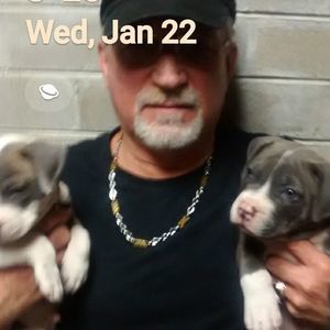 Meet your Posher, Rick